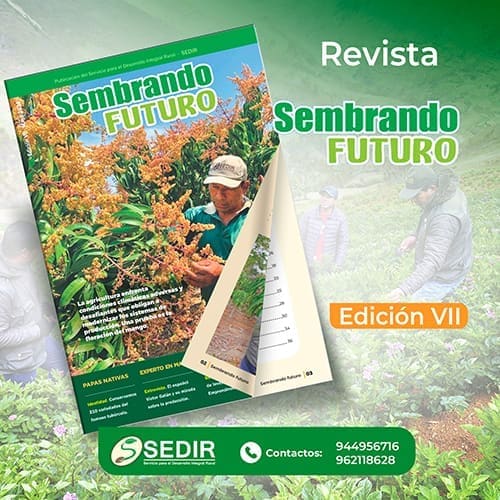 Revista Sembrando Futuro