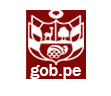 Gobierno Perú
