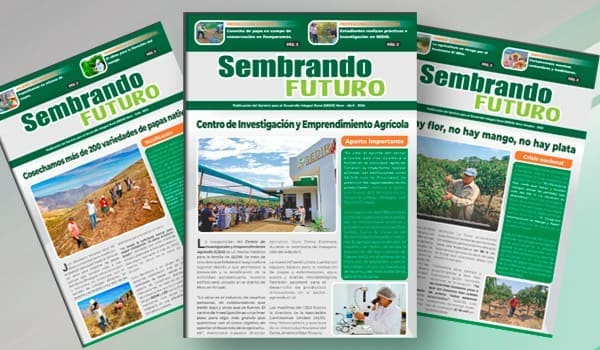 Boletín