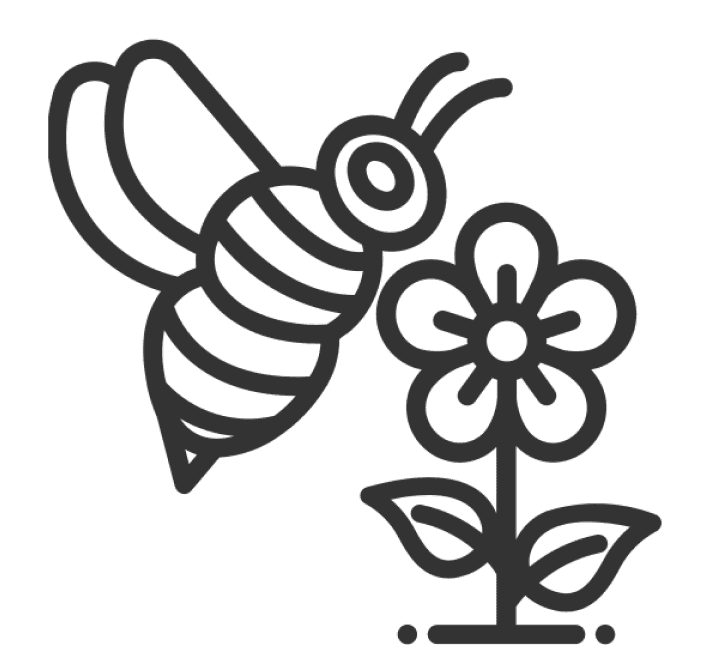 Abeja