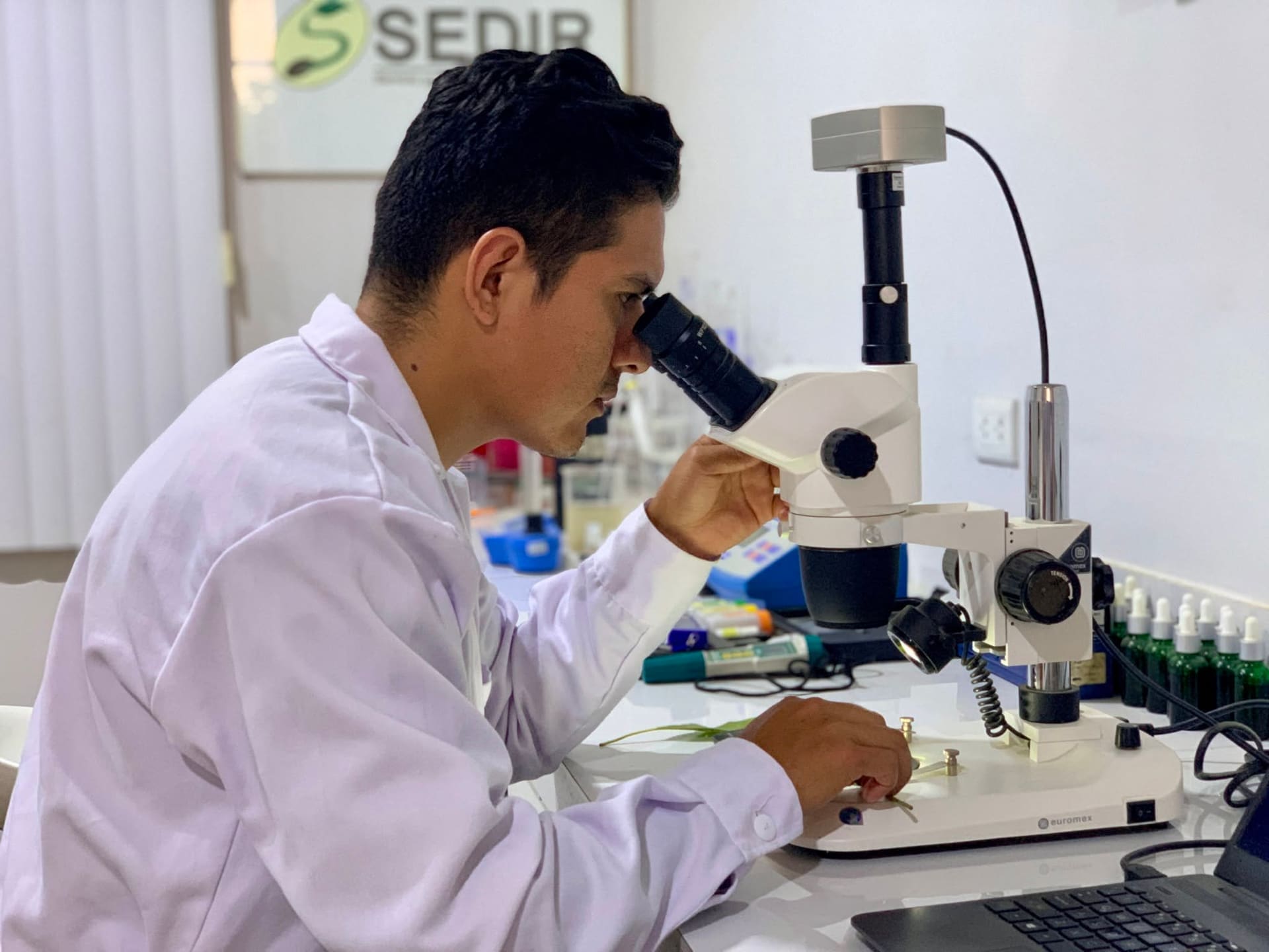 Estudiantes universitarios desarrollando proyectos de investigación con SEDIR