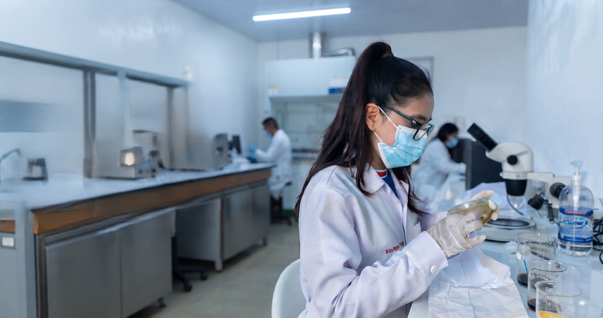 Investigación SEDIR