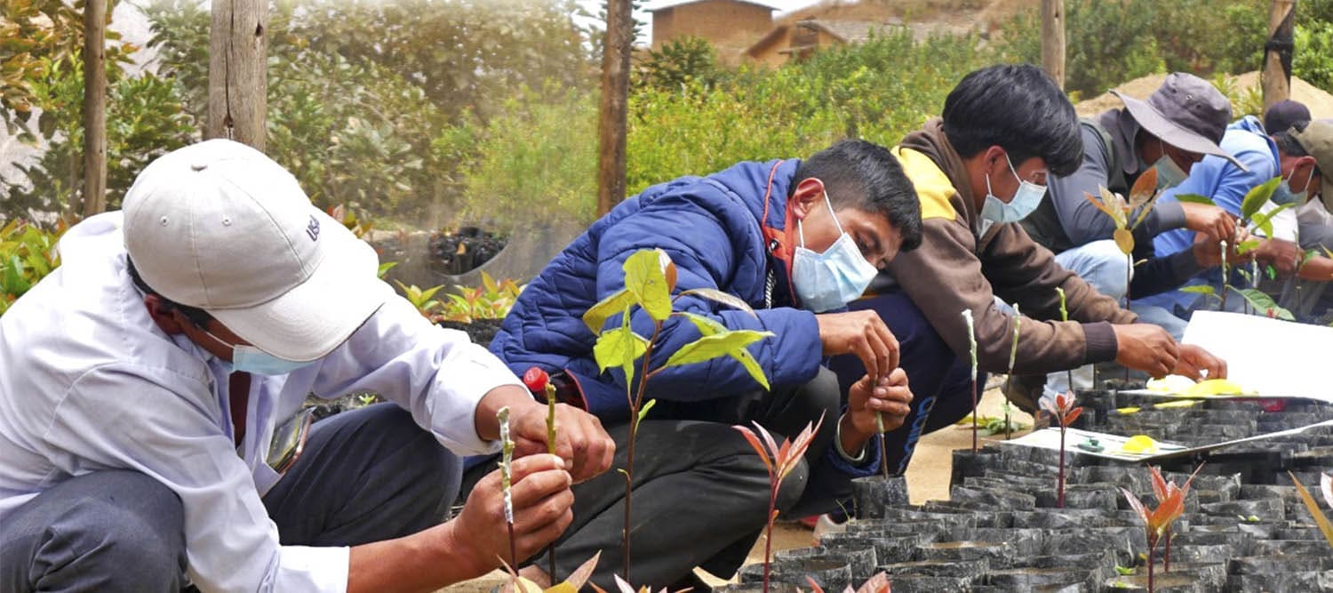 Sembramos desarrollo con propósito en el Valle de Nepeña