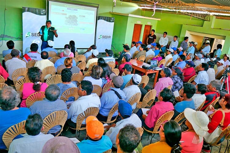Organización y asociatividad agraria en campo