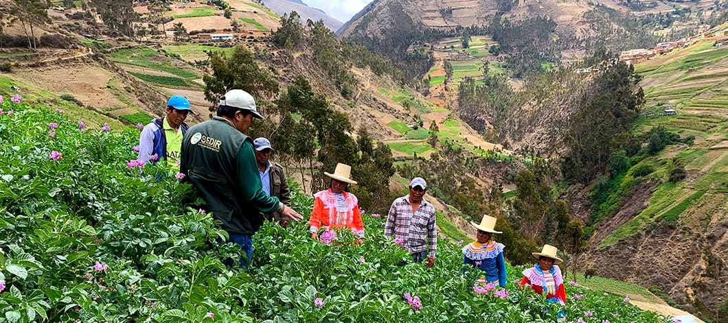 Sesión de capacitación de productores