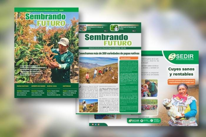 Publicaciones impresas de SEDIR: revistas, manuales y boletines técnicos