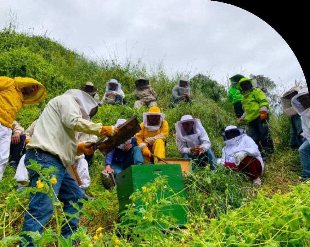 Agricultores trabajando en el campo