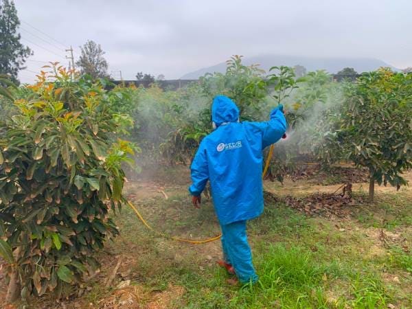Fumigaciones