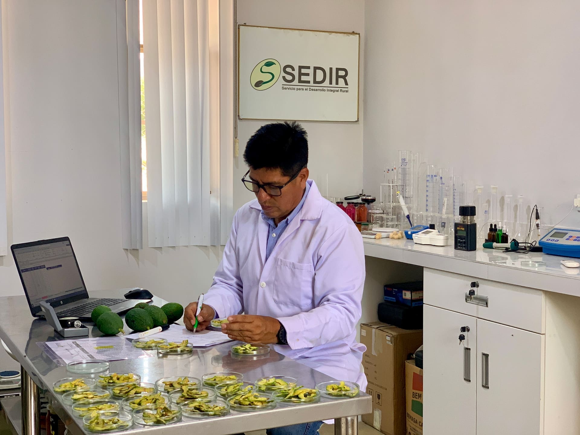 Investigación SEDIR