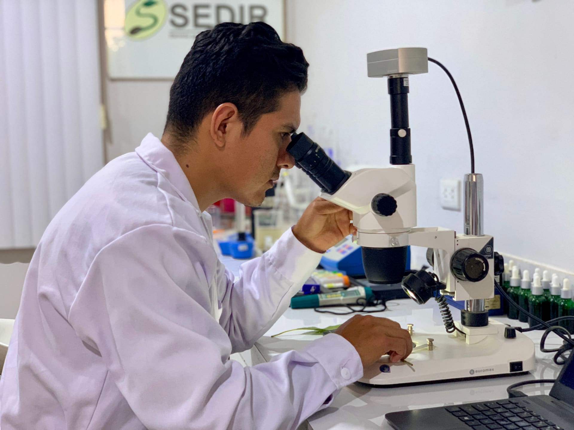 Investigación SEDIR