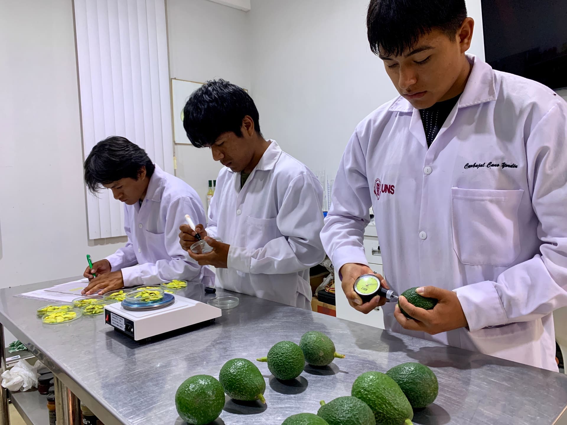 Investigación SEDIR
