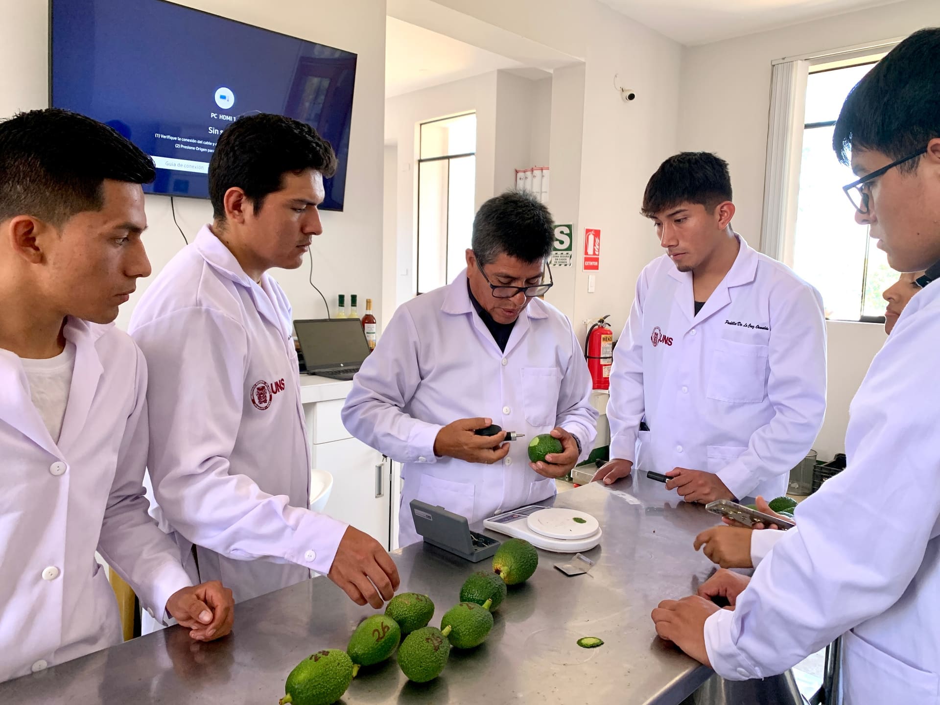 Investigación SEDIR