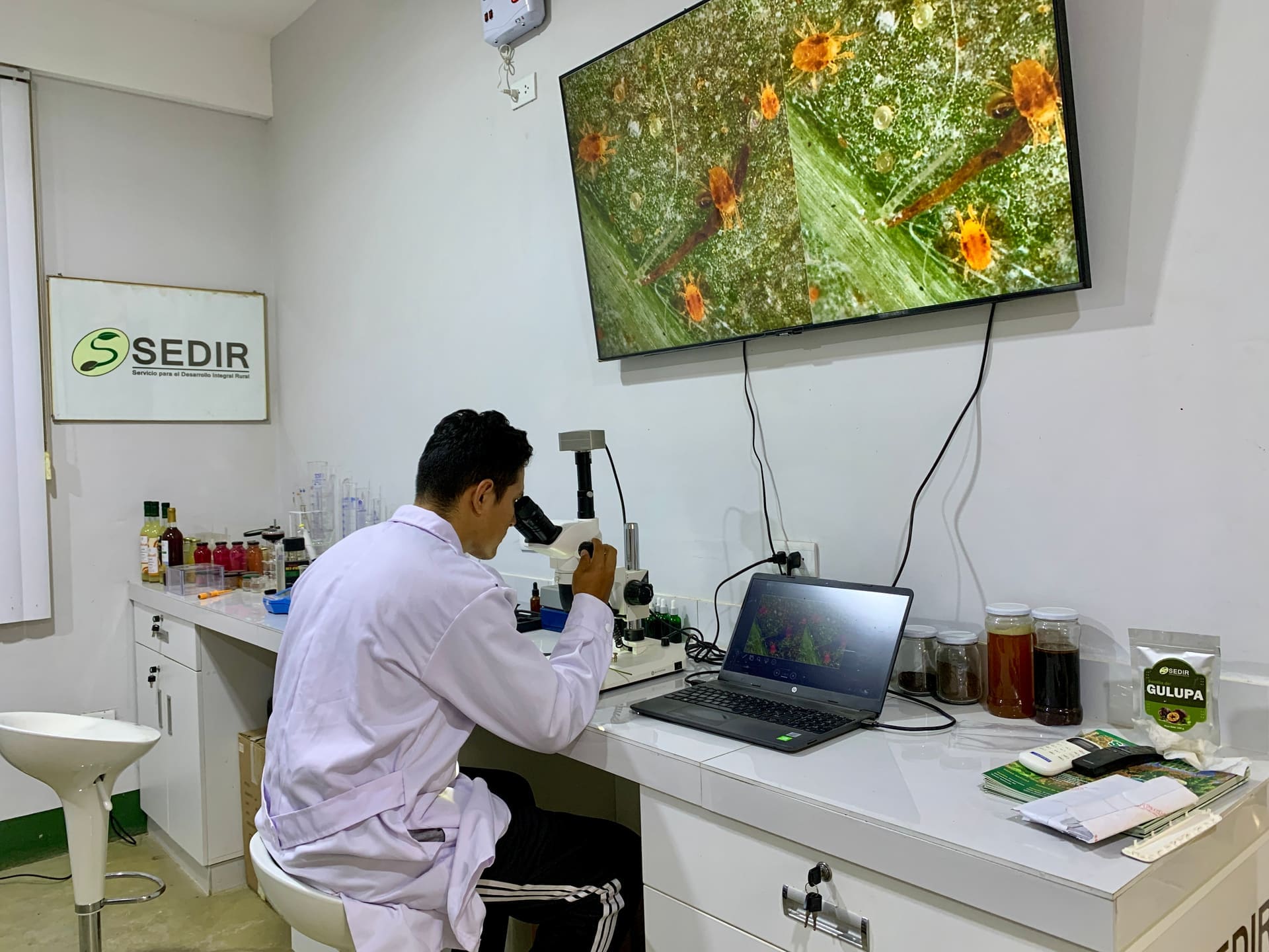 Investigación SEDIR