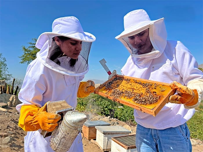 Vivero Frutícola SEDIR