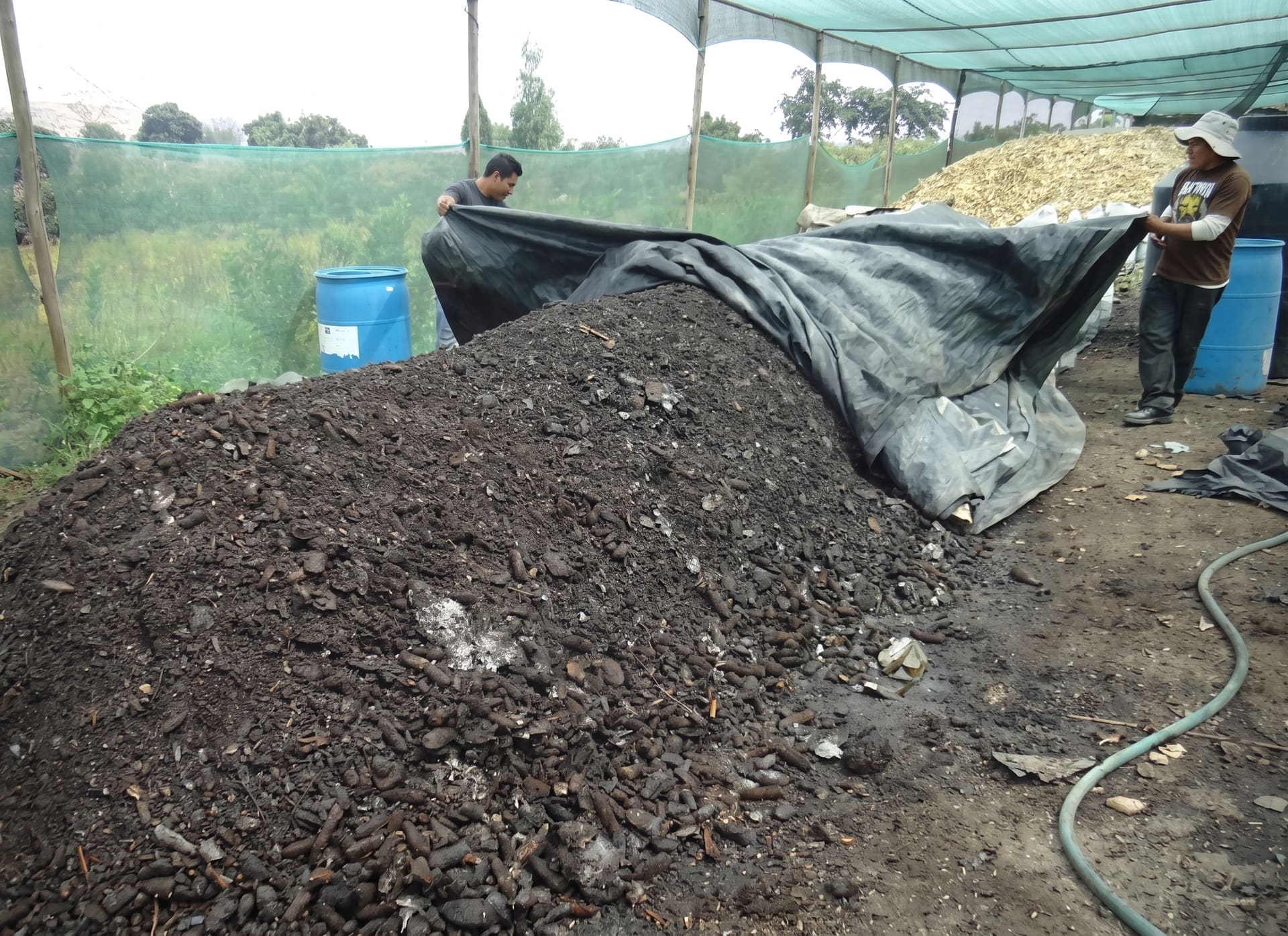 Vivero Frutícola SEDIR
