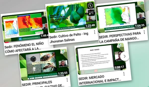 Webinars