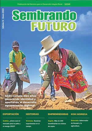 REVISTA VI EDICIÓN